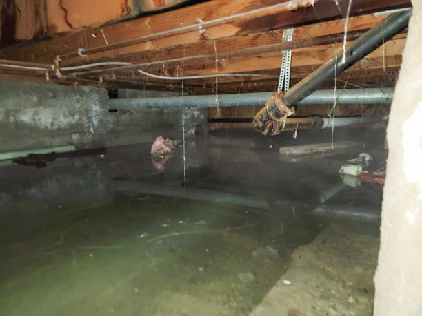 Best Local water damage restoration  in Middlesex, NC