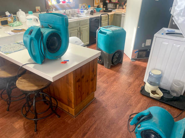 Best Water damage cleanup near me  in Middlesex, NC