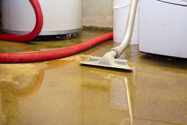 Best Professional water damage repair  in Middlesex, NC