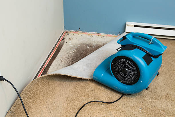 Carpet water damage restoration in NC